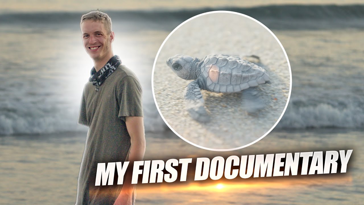 My First Documentary - The End of Sea Turtles?