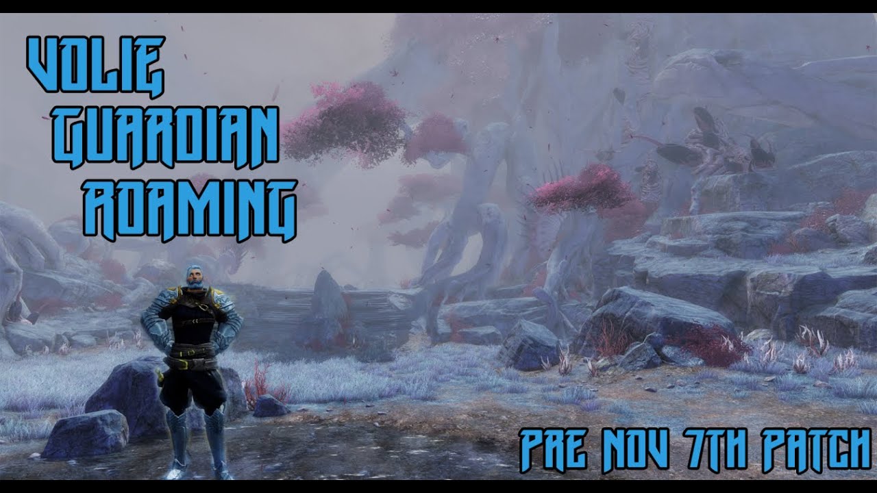 Guild Wars 2 - Volie [vT] Guardian WvW Roaming Vol. #23