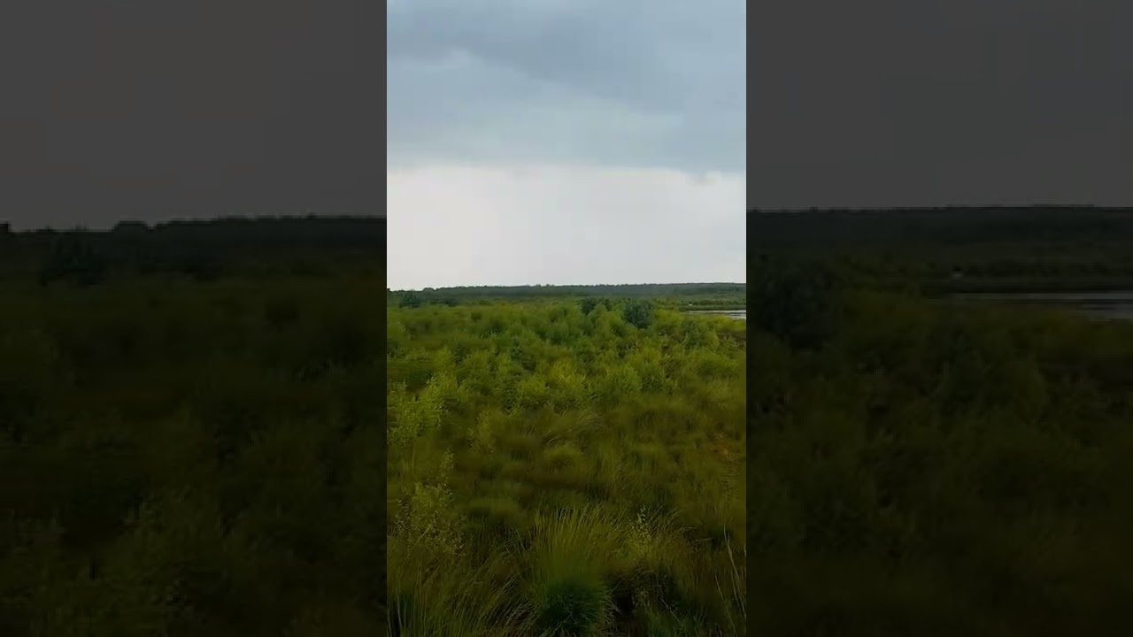 Rain On Moor
