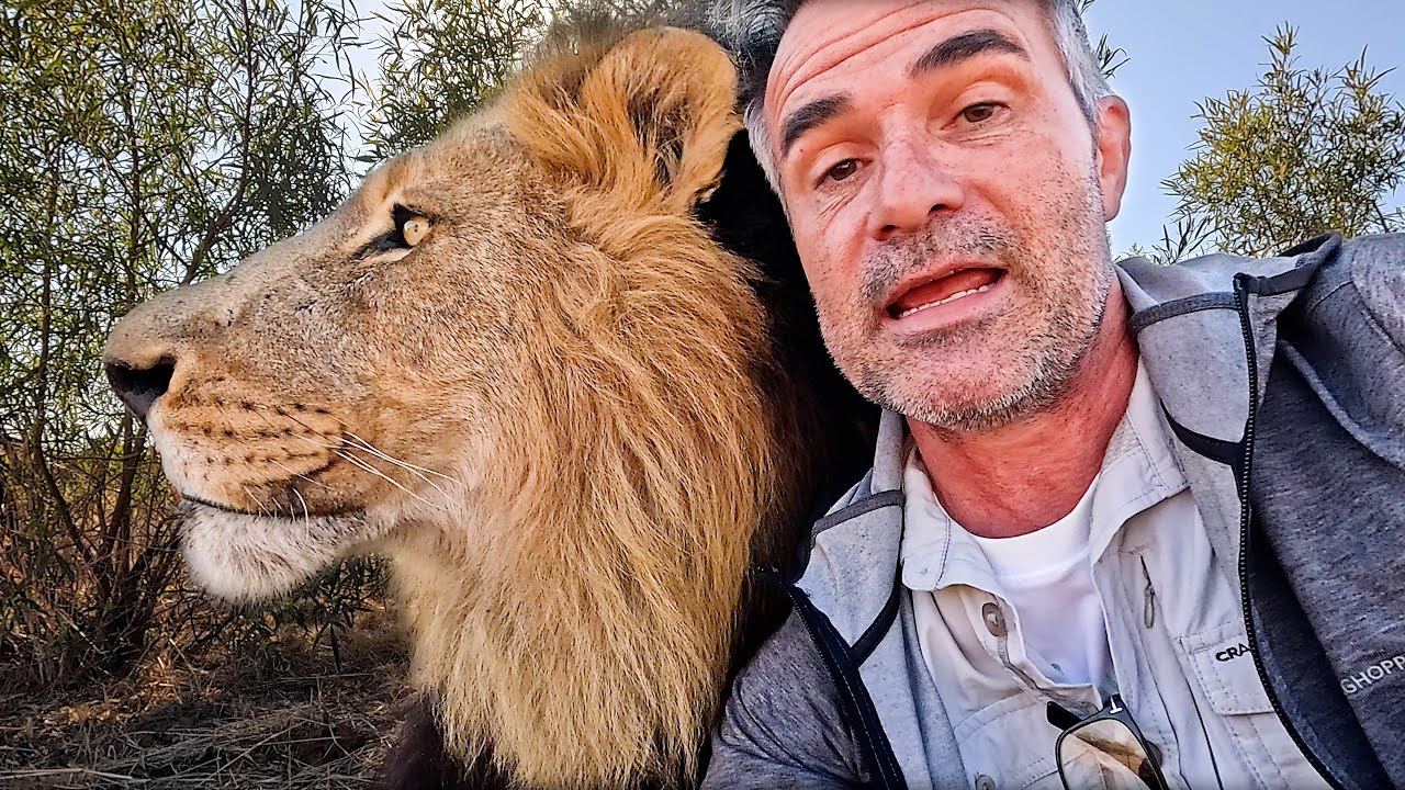 Kevin Richardson Encounters LION TURF WARS | The Lion Whisperer