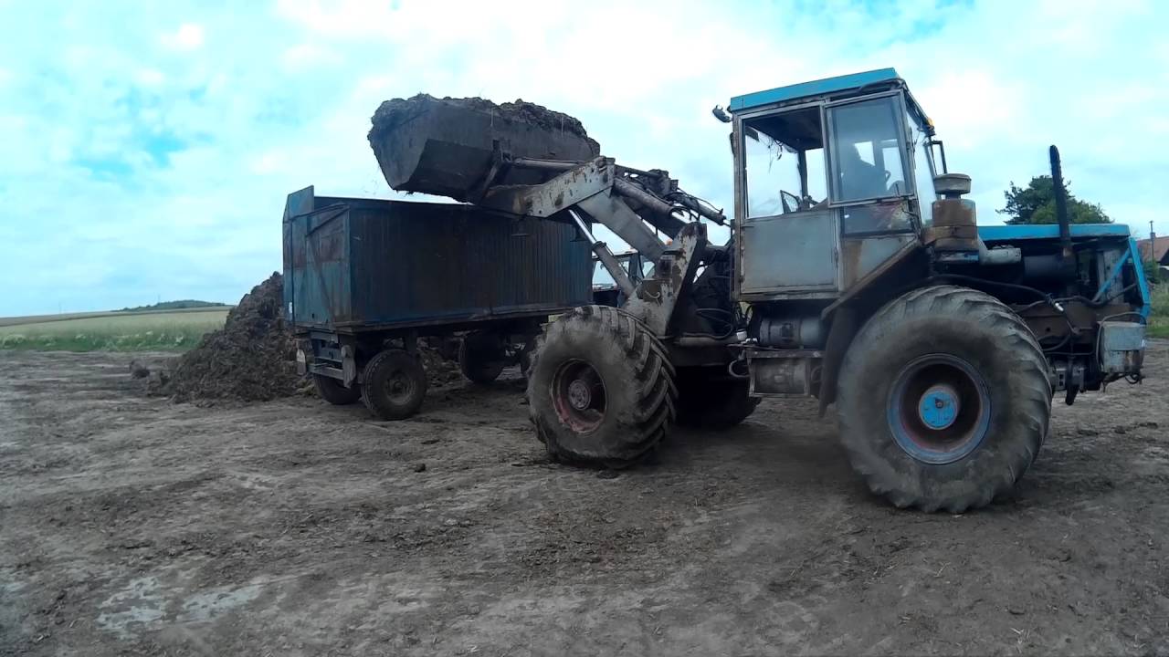 Export of manure | Zetor 16145 | Crystal 8011 | ZT 303 | /HD/