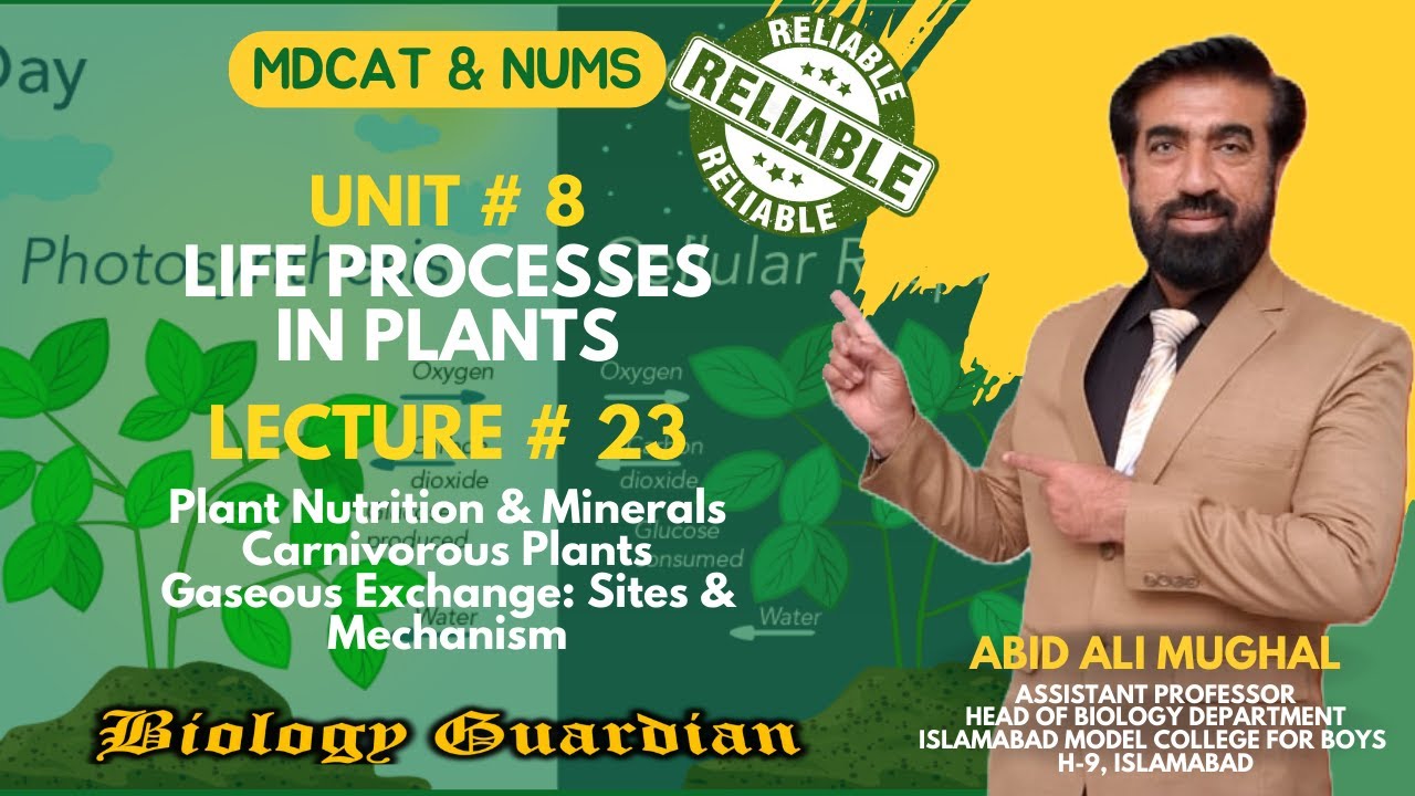 Lecture 23 MDCAT 2022 Biology Preparation Series |Life Processes in Plants (Part-1) PMC/NUMS/NEET