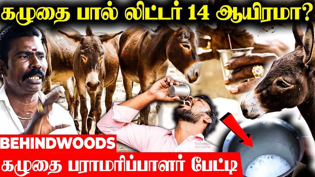கழுதை வளர்ப்பில் இவ்ளோ பணமா...! கழுதை மேய்க்க கிளம்பிய Anchor - பேட்டி