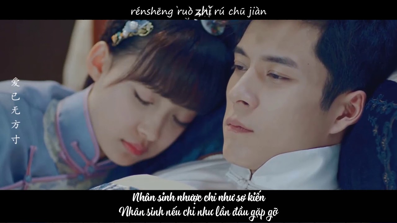 [Vietsub] Nhân sinh nhược chích như sơ kiến | Tân Tử