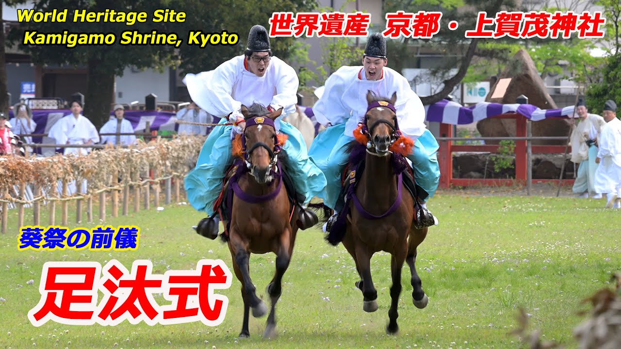 京都・上賀茂神社で賀茂競馬「足汰式」（2025年5月1日　京都市北区）
