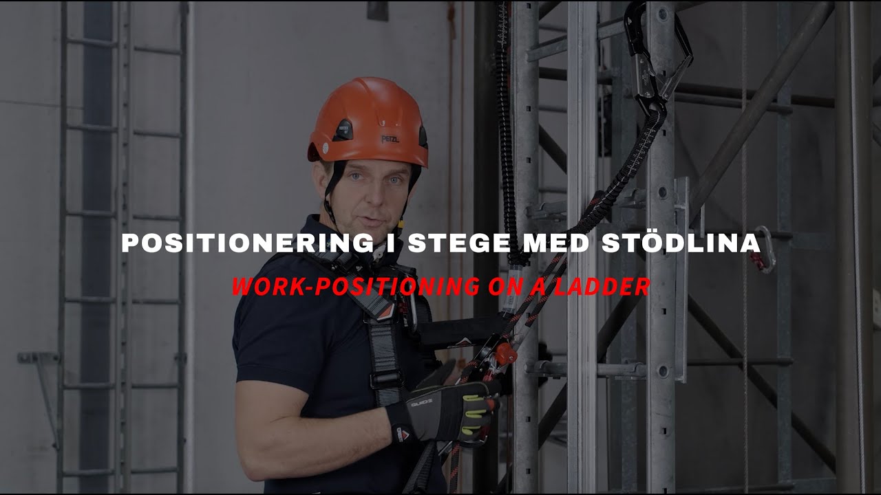 Cresto Group – Work Positioning on a ladder