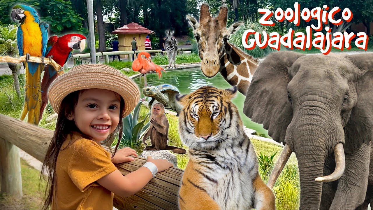 Zoologico Guadalajara 2023 - Tour increible  y divertido por todos los rincones de el🐘🐒🐧🐍🐅🦒