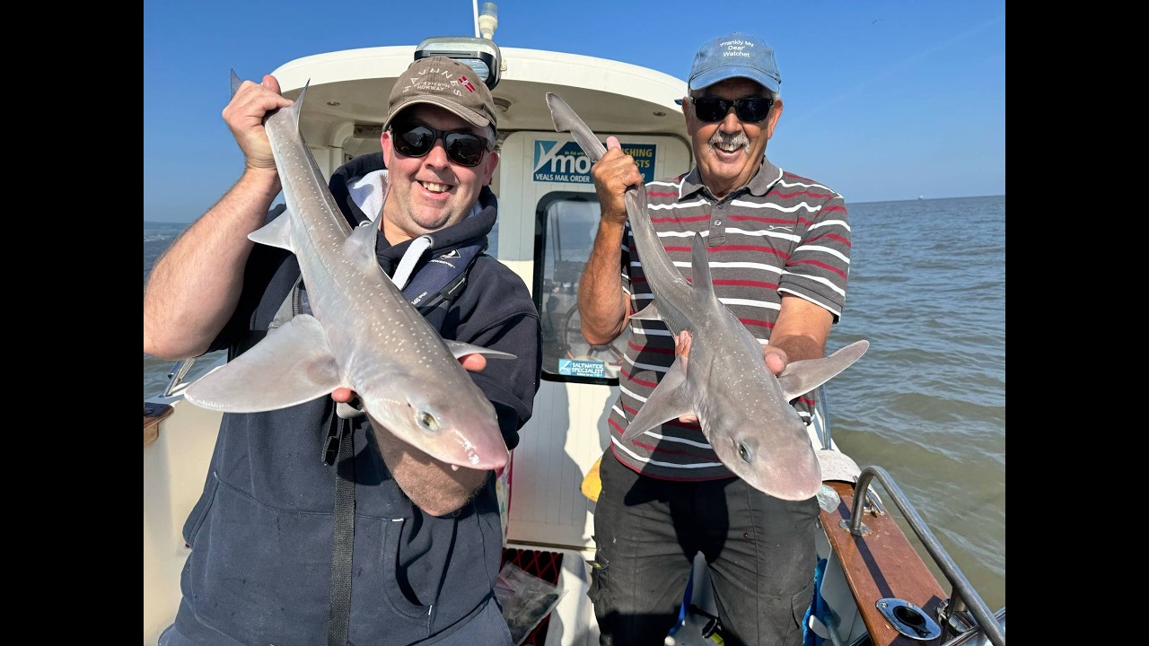 Early Hounds in the Bristol Channel