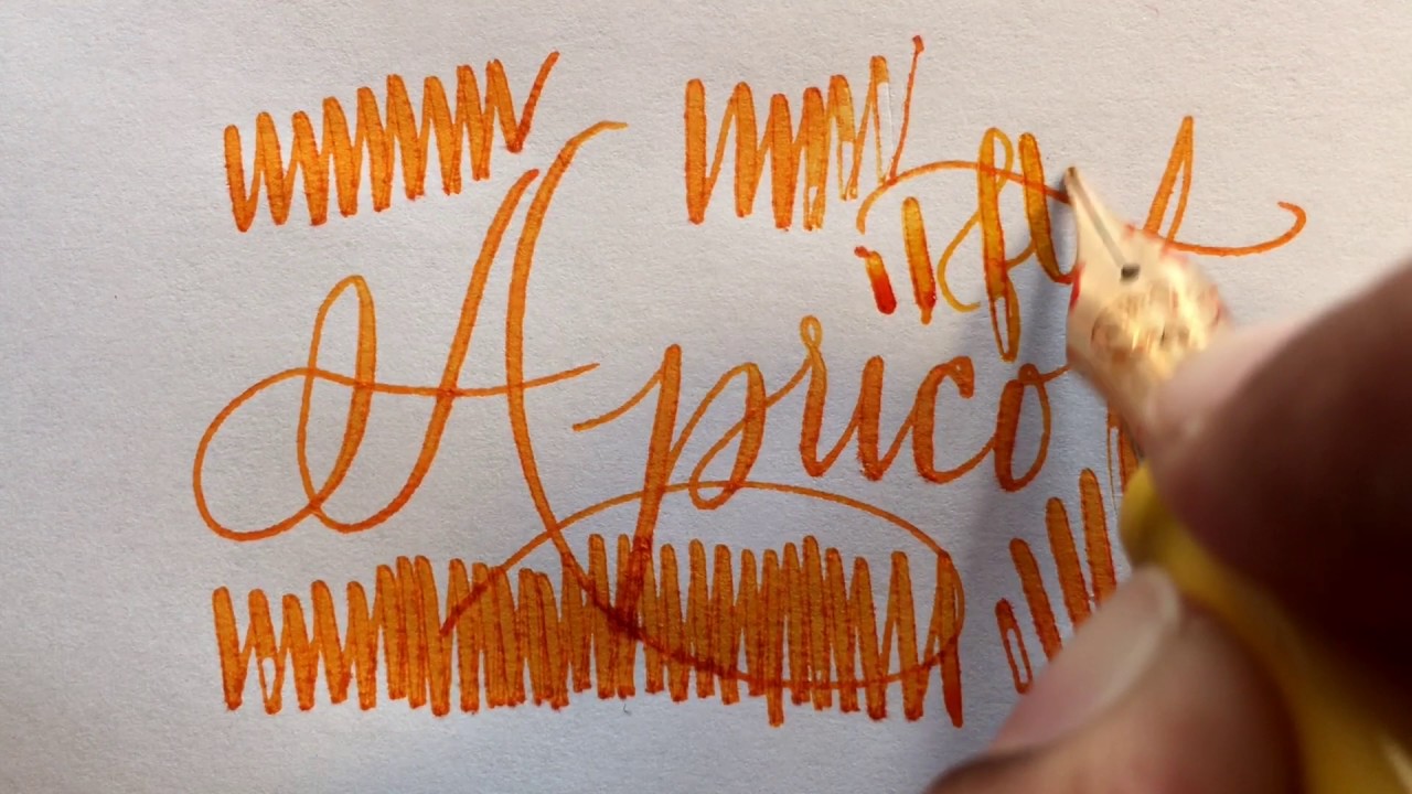 Aurora 88 Anniversario - Fine Flex Nib