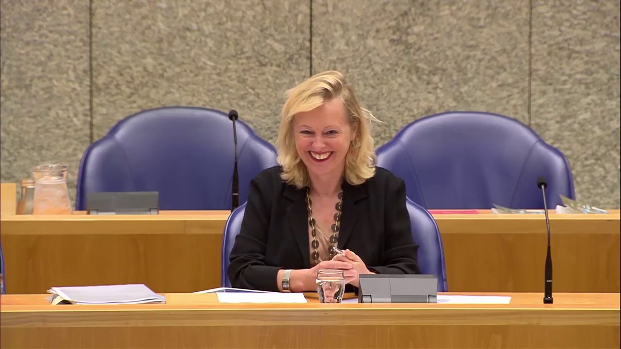 Maiden speech Daniel van der Ree Tweede Kamer 29 september 2016