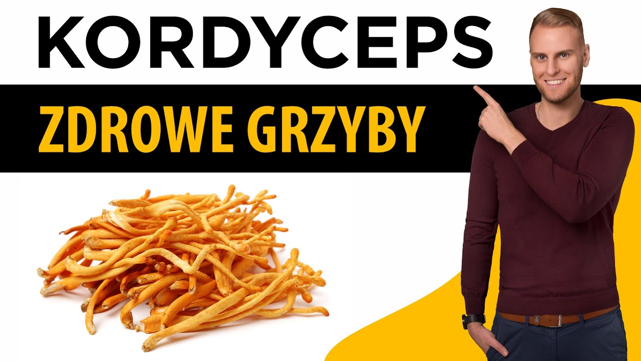 Kordyceps
