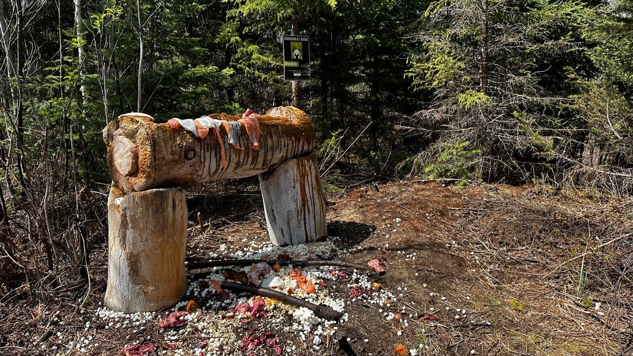 Chasse à l'ours 2023 - Dans L'Bois entre Frères, 4K