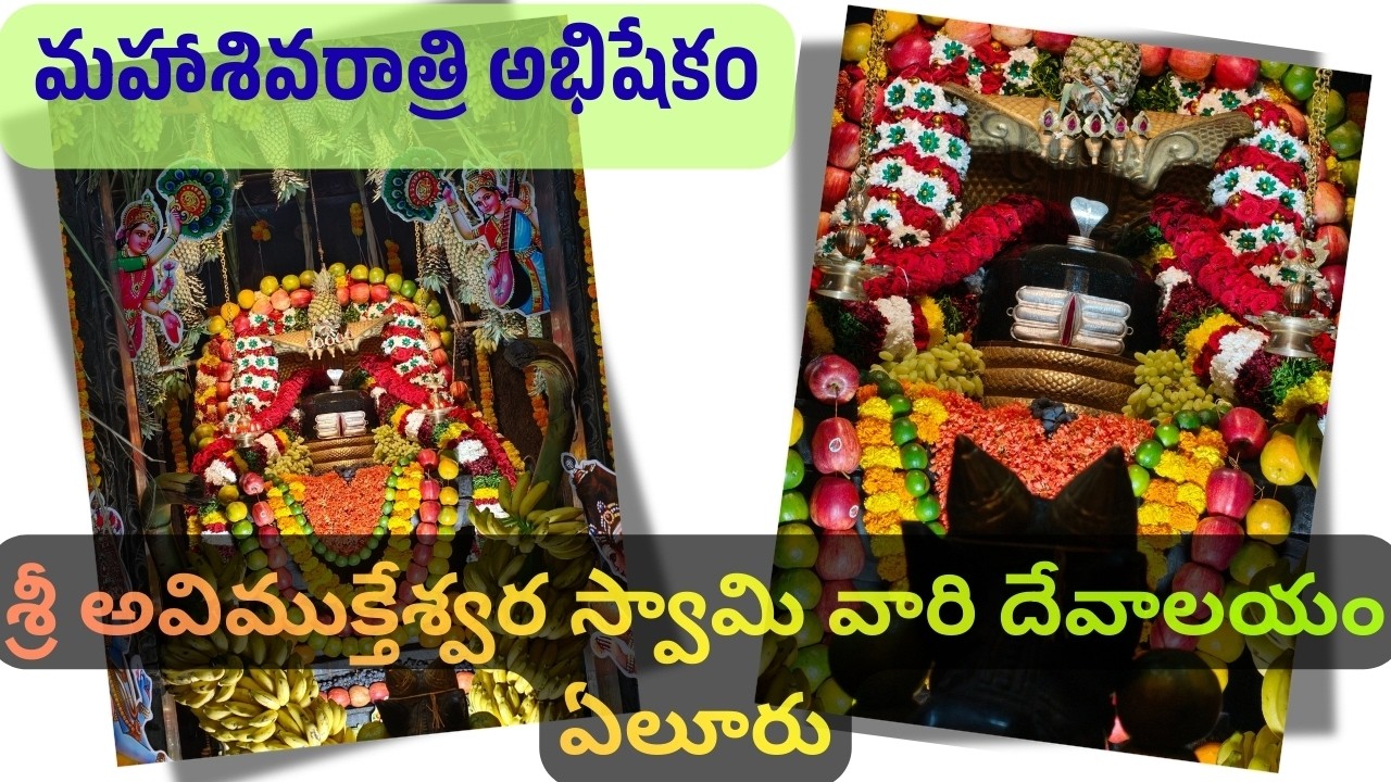 మహాశివరాత్రి అభిషేకం | శ్రీ అవిముక్తేశ్వర స్వామి దేవాలయం, ఏలూరు | Maha Shivaratri Abhishekam Eluru