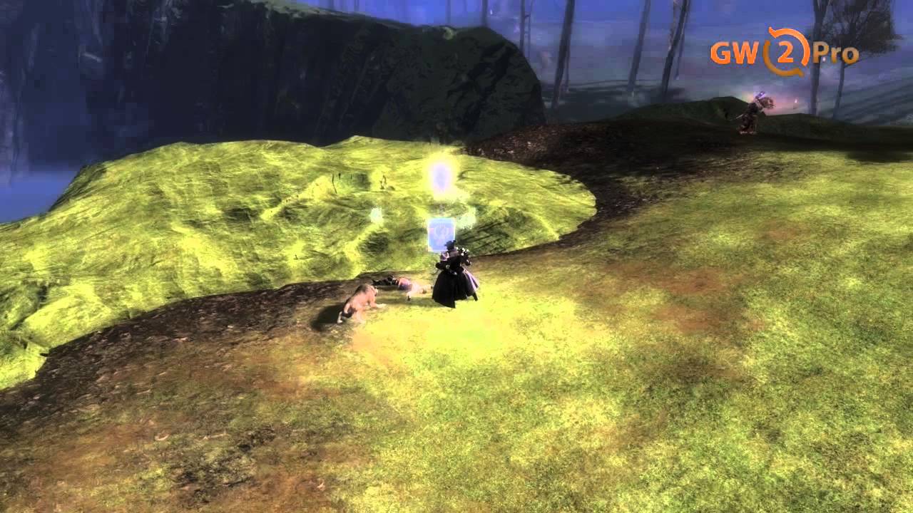 Guild Wars 2: Rank 0 - 9 Finishing Move Rabbit