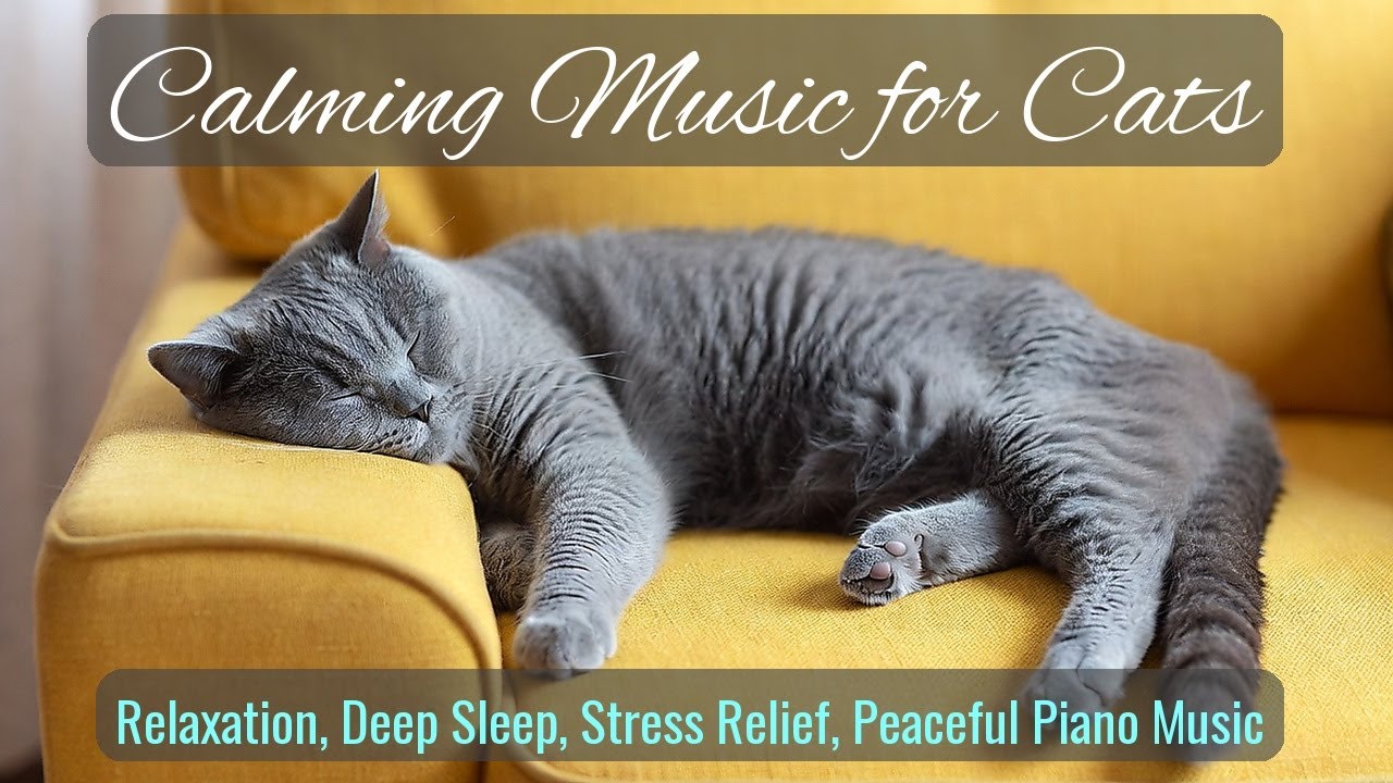 Calming Music for Cats - Relaxation, Deep Sleep, Stress Relief, Peaceful Piano Music | Season 74