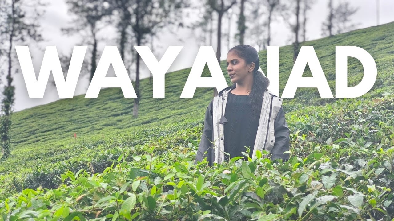 ഒരു വയനാട് യാത്ര✨🤩 | Wayanad Vlog | Kerala