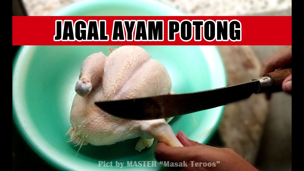 CARA MUDAH MEMBERSIHKAN AYAM POTONG ‖ HOW TO CLEAN A WHOLE CHICKEN BEFORE COOKING