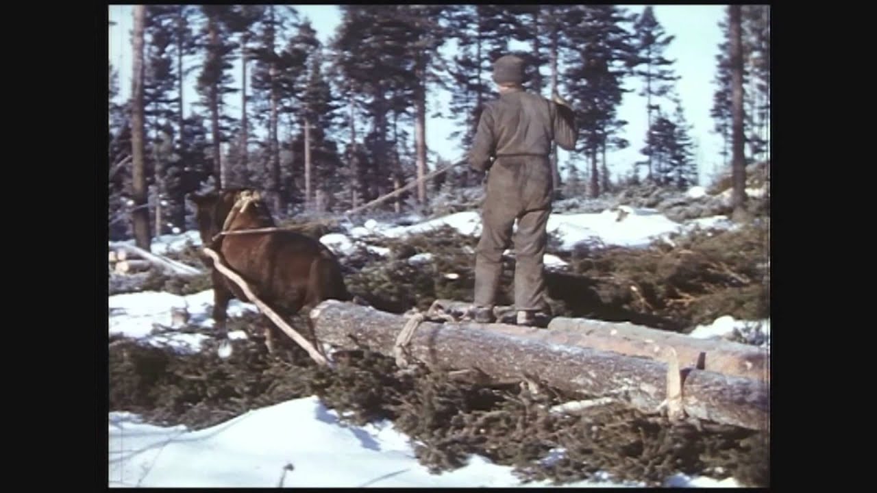 1961 Uusivuosi ja valtuuston kokouksia sekä metsätöitä Orisbergissa