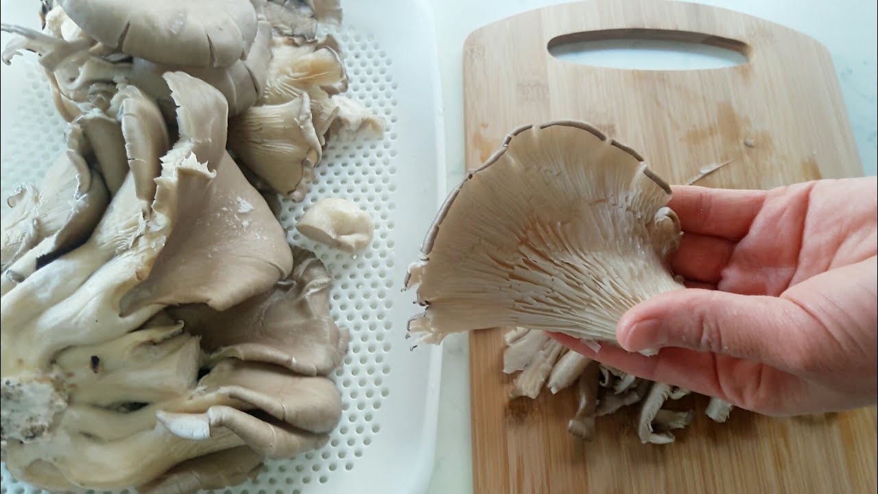 HAFTADA 1 KEZ MANTAR 🍄 İSTİRİDYE MANTARI NASIL PİŞİRİLİR?