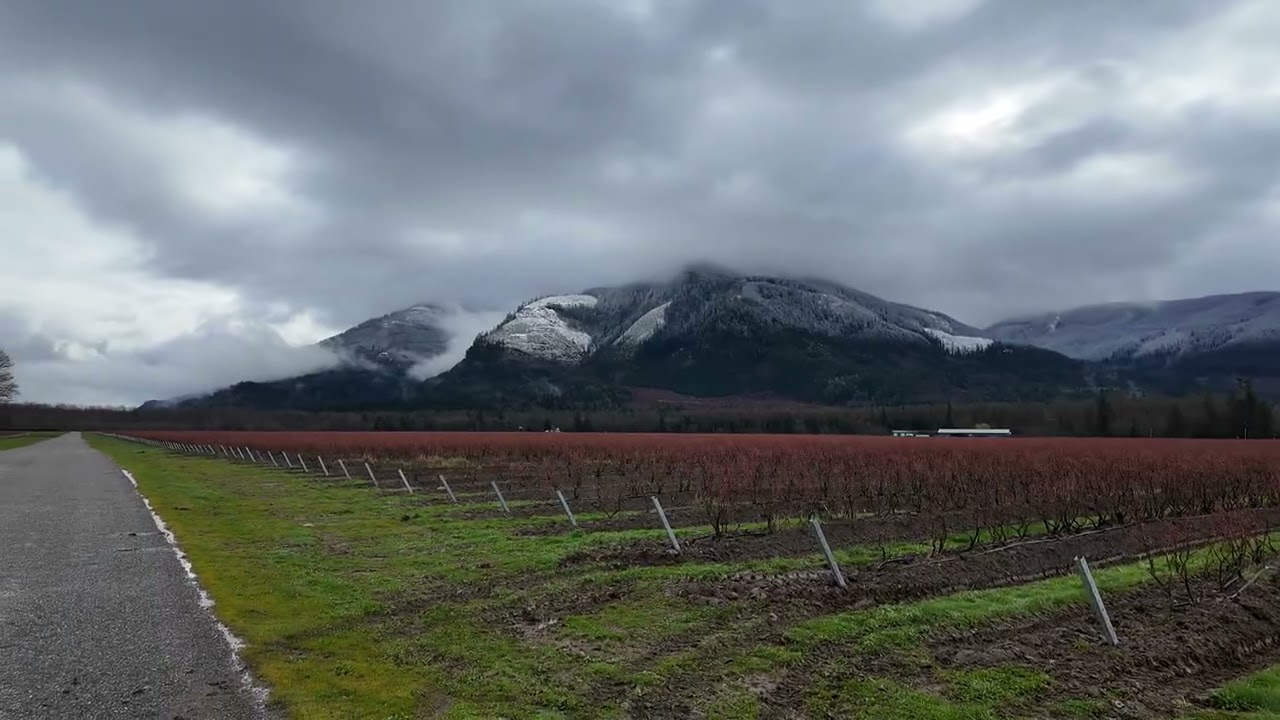 Nieve en las montañas de Washington 