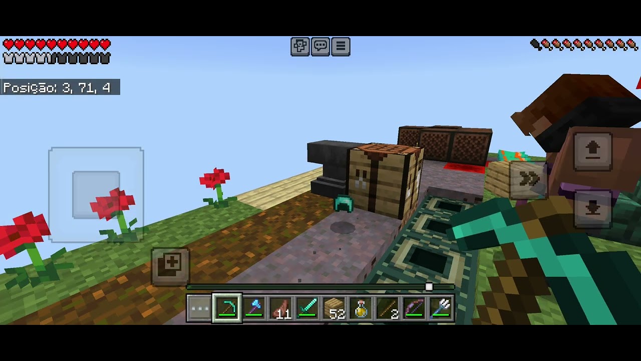 Minecraft com o brother