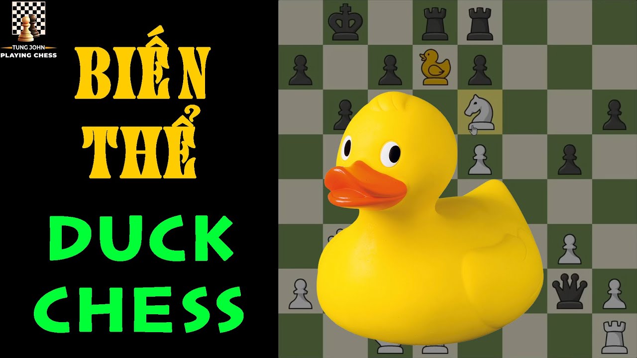 Duck Chess - Biến Thể Cờ Vua - Cờ Con Vịt Quack Quack Quack || TungJohn Playing Chess