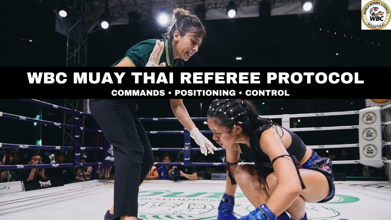 Протокол работы рефери WBC по муай-тай: стандарты, которые должен знать каждый судья.