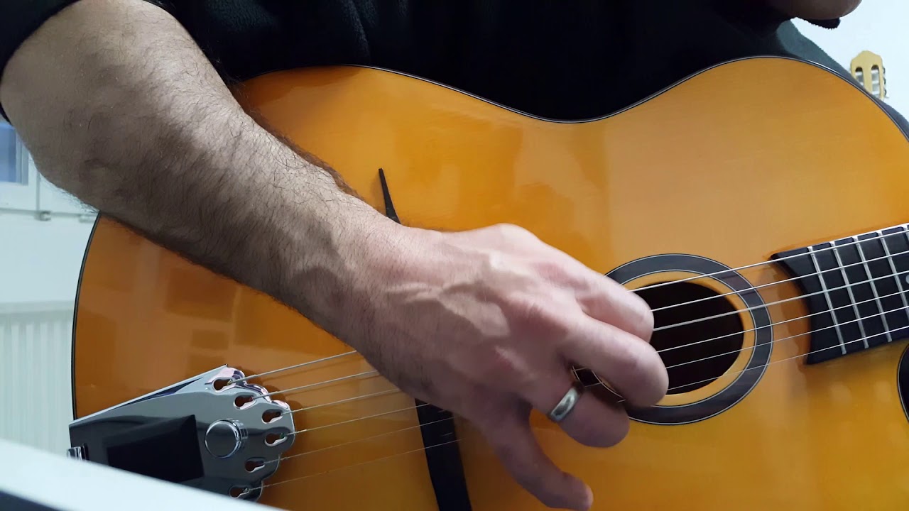 Playing a Richwood RM 70 NT - Davide Petrocca on Guitar. ( Gonzalo Bergara - Donna Lee )