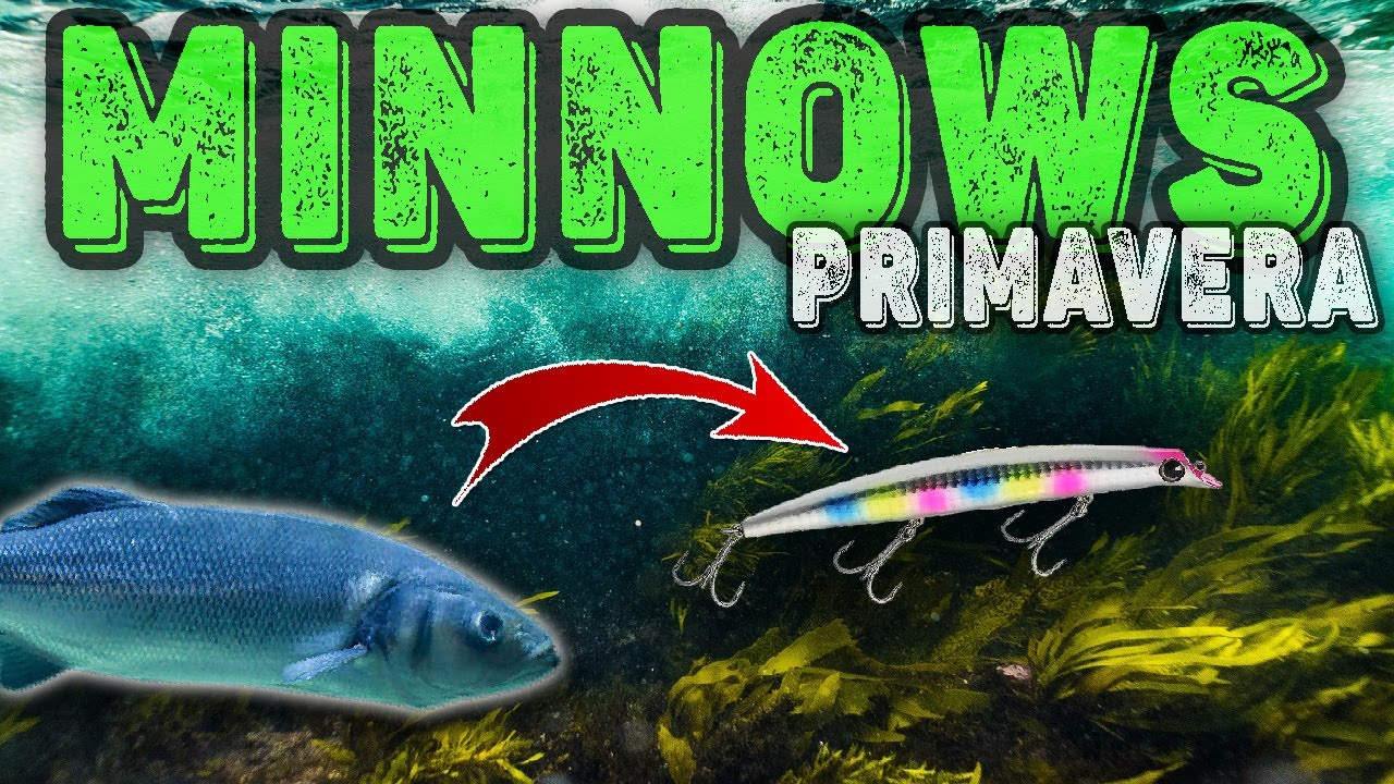 ⭐ TOP 5 || Mejores MINNOWS para pescar LUBINAS a spinning [2023]