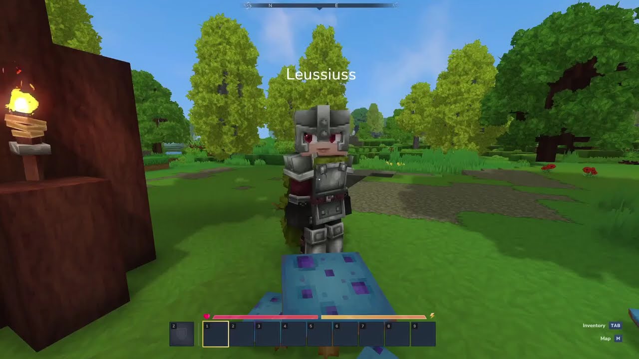 01/14/2026 Stream: Hytale