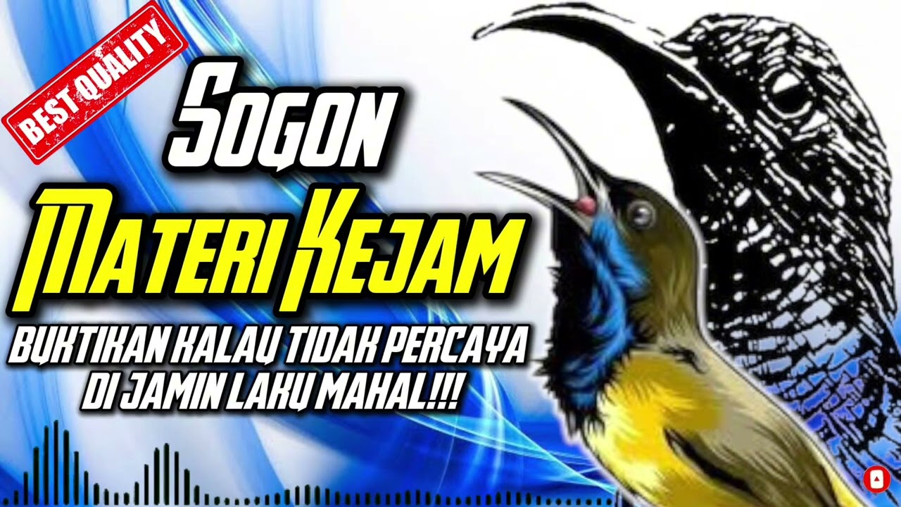 MASTERAN SOGON MATERI KEJAM | BUKTIKAN KALAU TIDAK PERCAYA!!! #sogon #masteransogon #sogokontong
