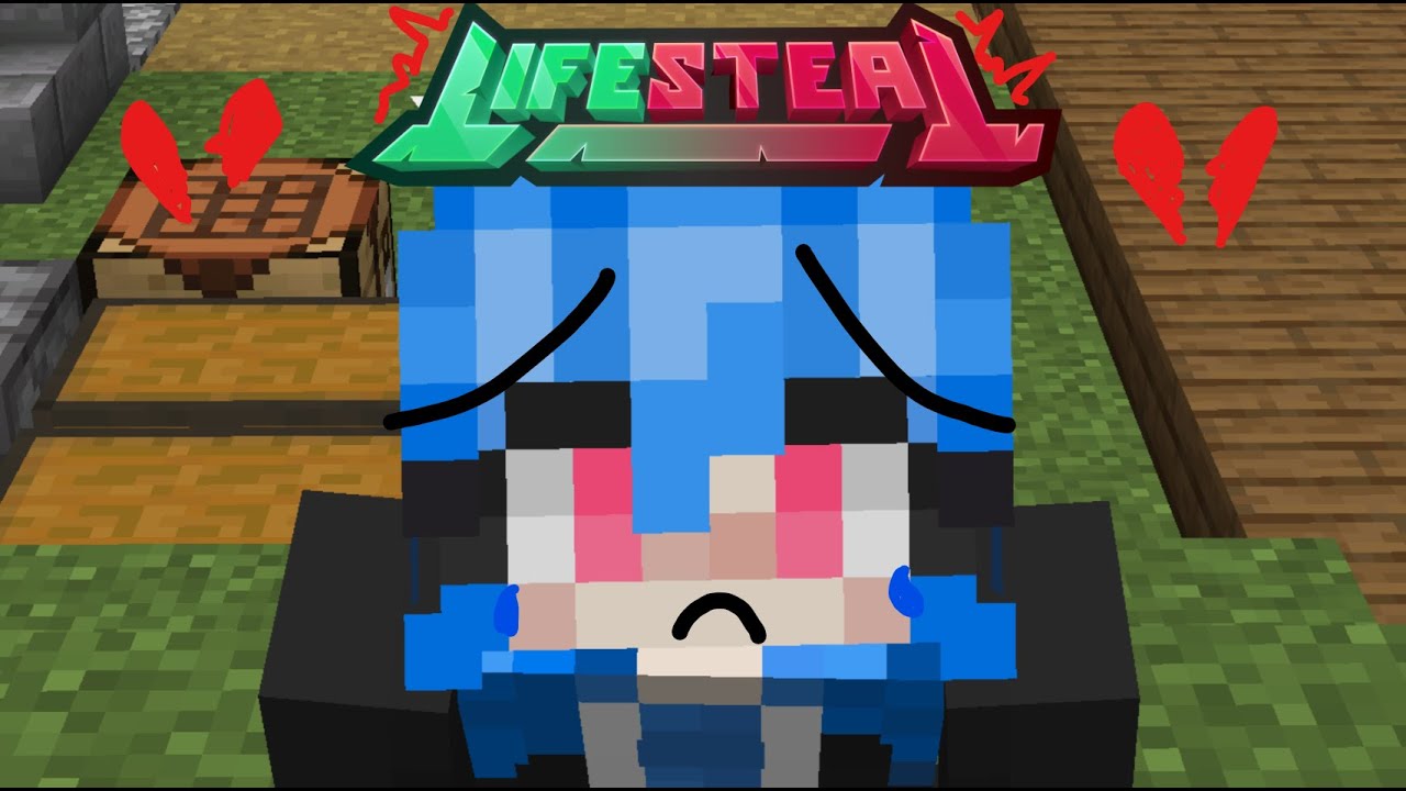 Pathetic Sopping Wet Cat On Lifesteal SMP***