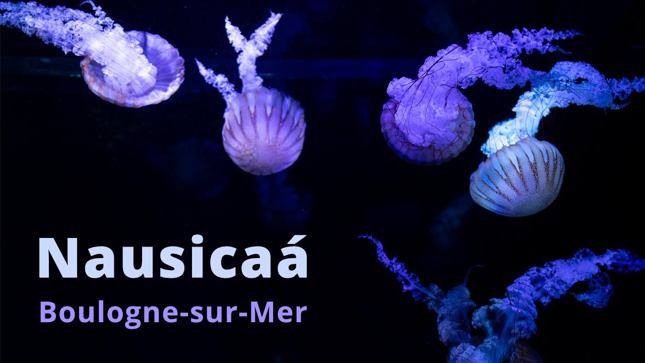 Nausicaá