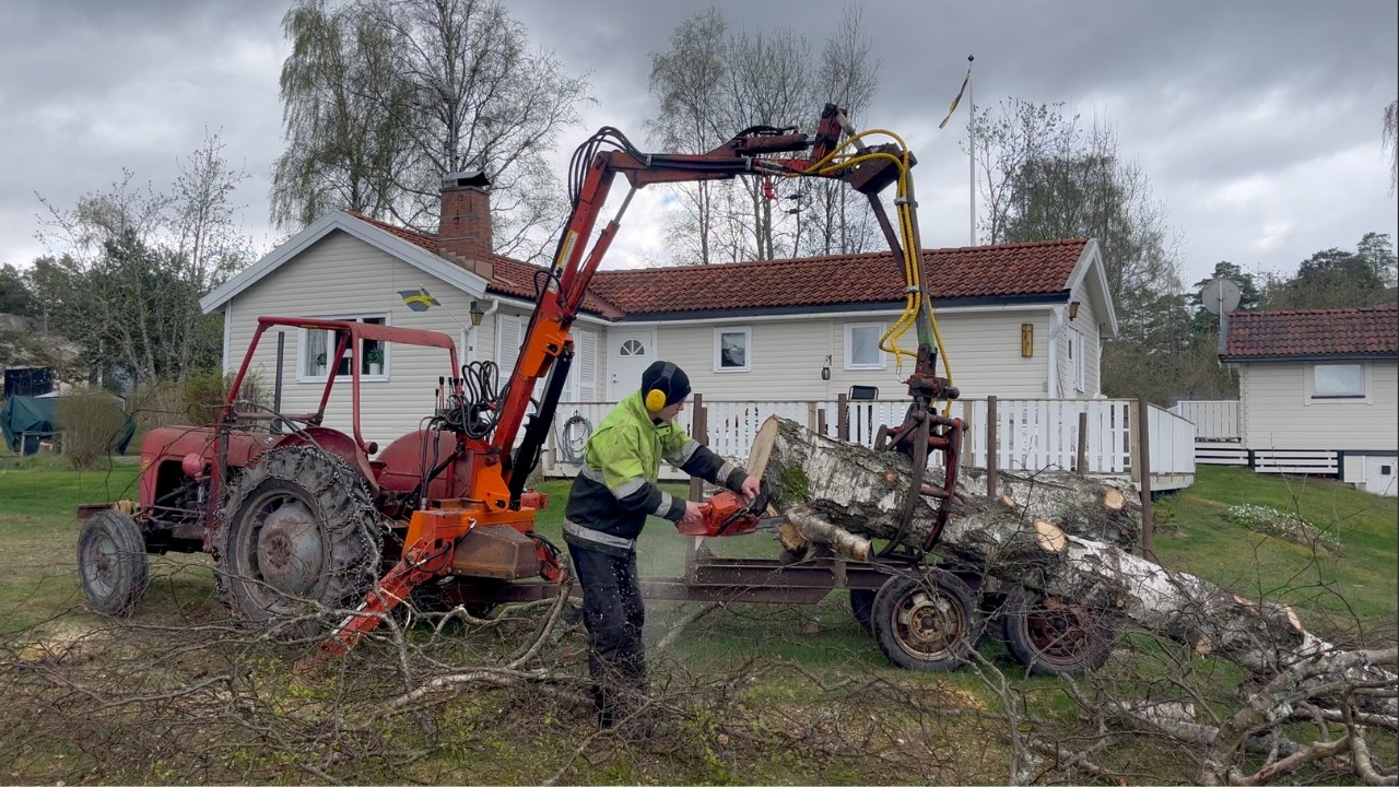 Hauling logs and brush with Massey Ferguson 35