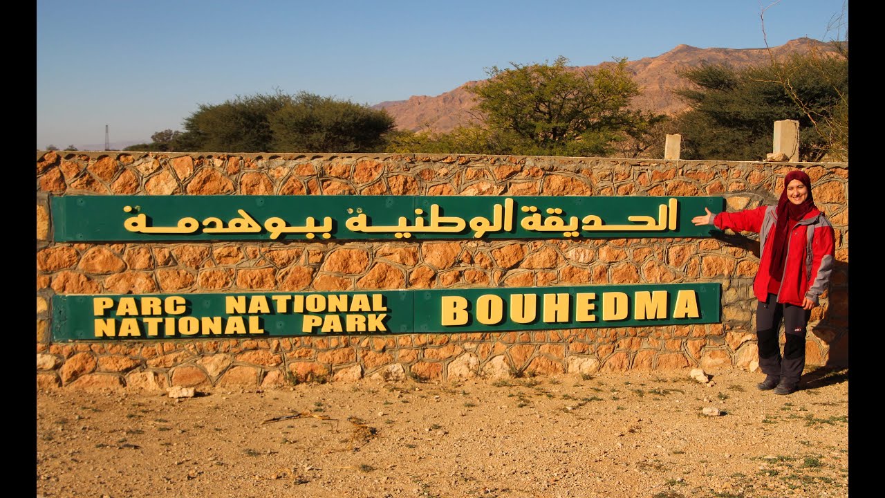 تعرف على أخرغابات السافانا