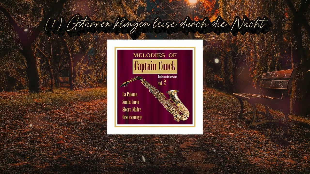 Gitarren Klingen Leise Durch Die Nacht - Beutifull instrumental version