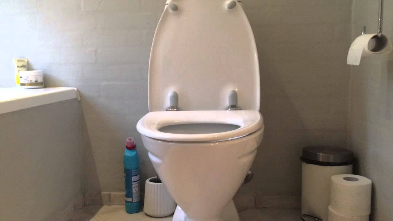 Toilet Flushing Sounds (10 Hours)