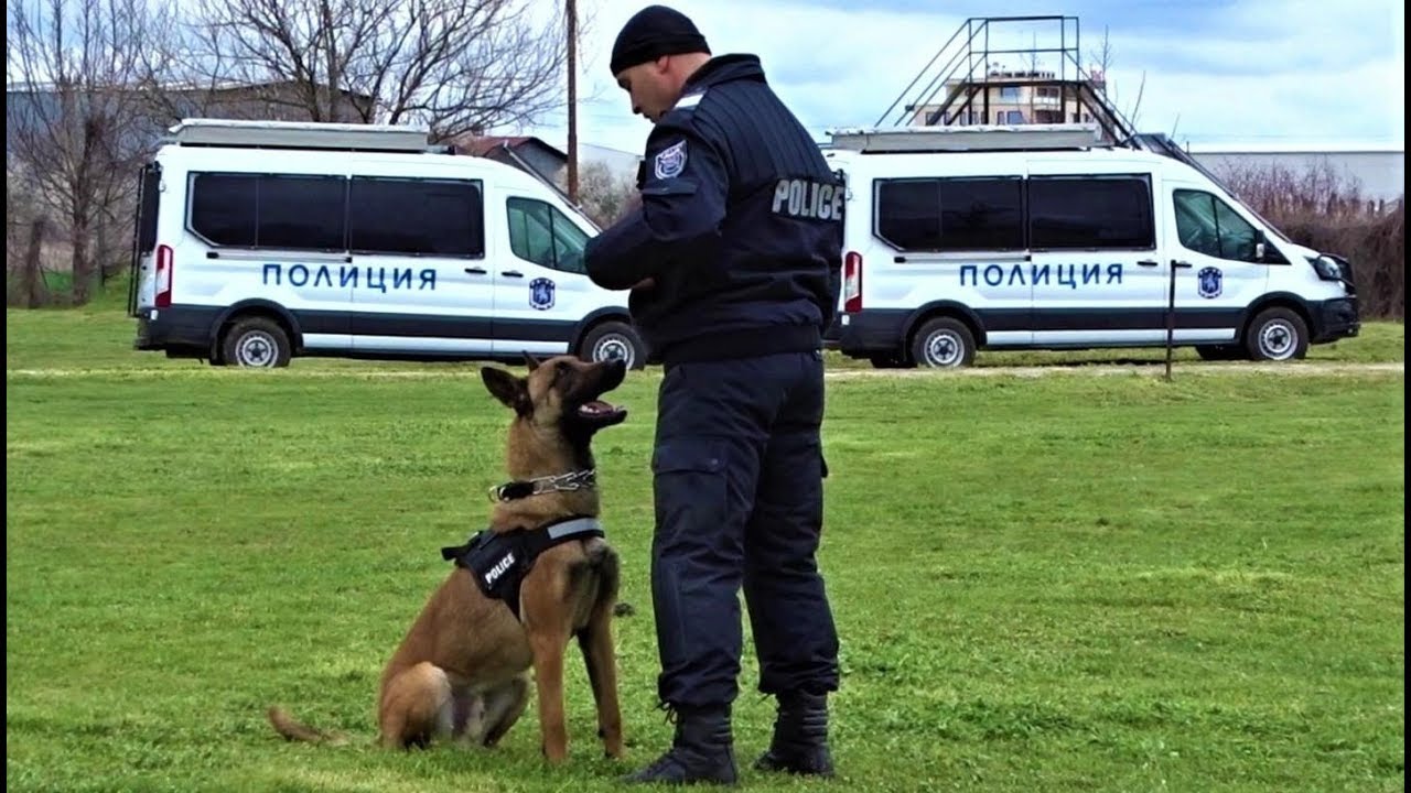 Police K9 Unit Demonstration 2018 Bulgaria - СПС Пловдив - Special Police Forces Plovdiv