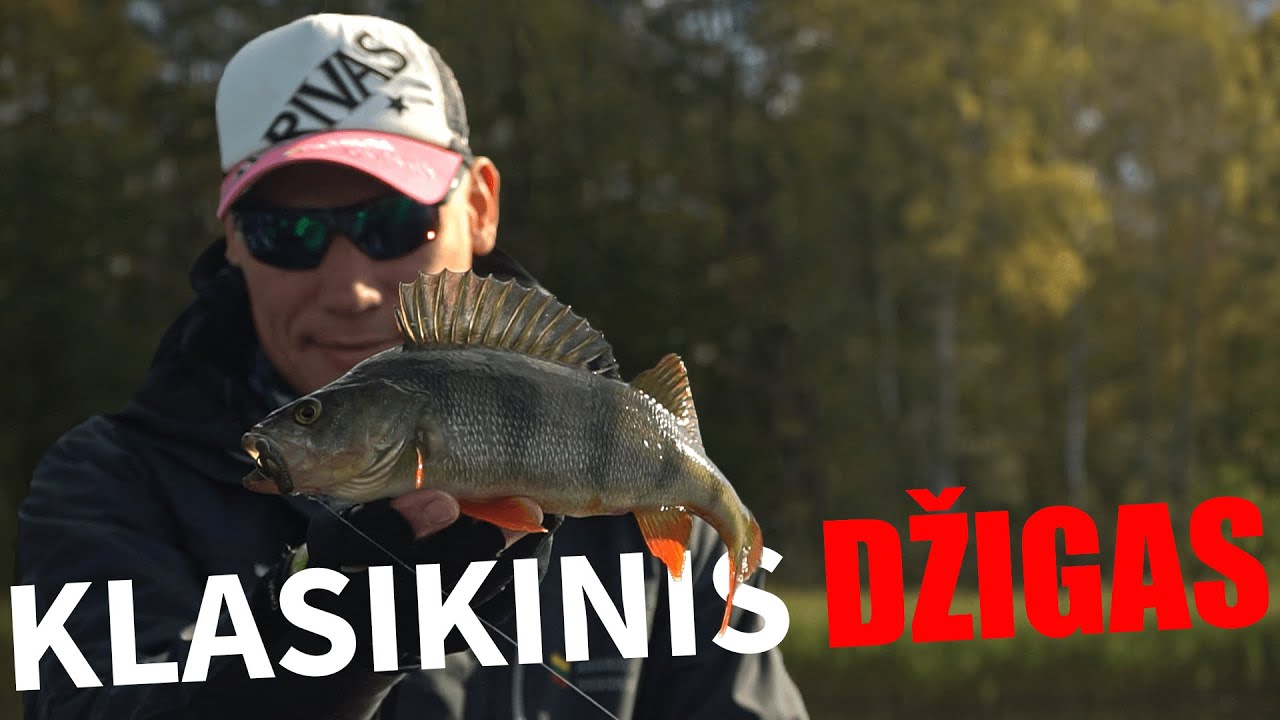 Ešerių spiningavimo pamokos su Andriumi Urbonu : klasikinis džigas