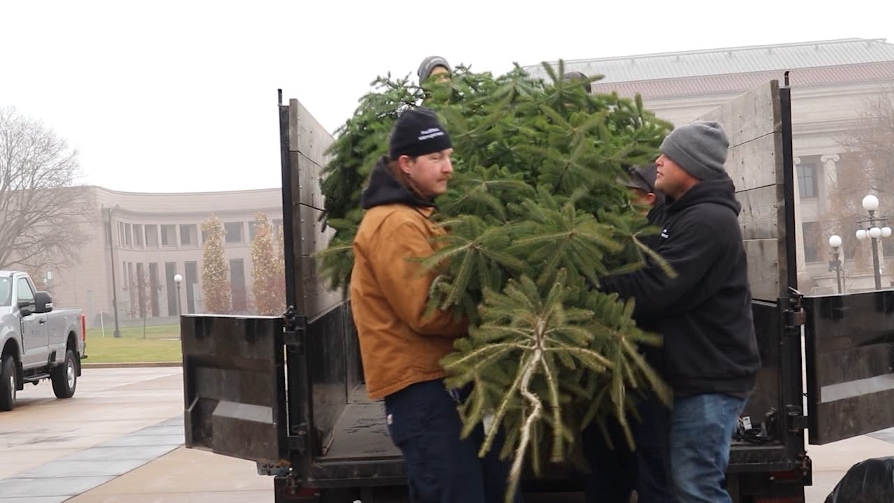 Рождественская елка из столицы штата Миннесота прибывает в Сент-Пол