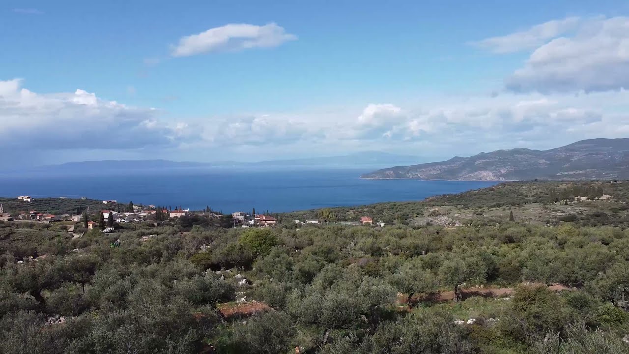 11 10 010 Proastio 1800sq m