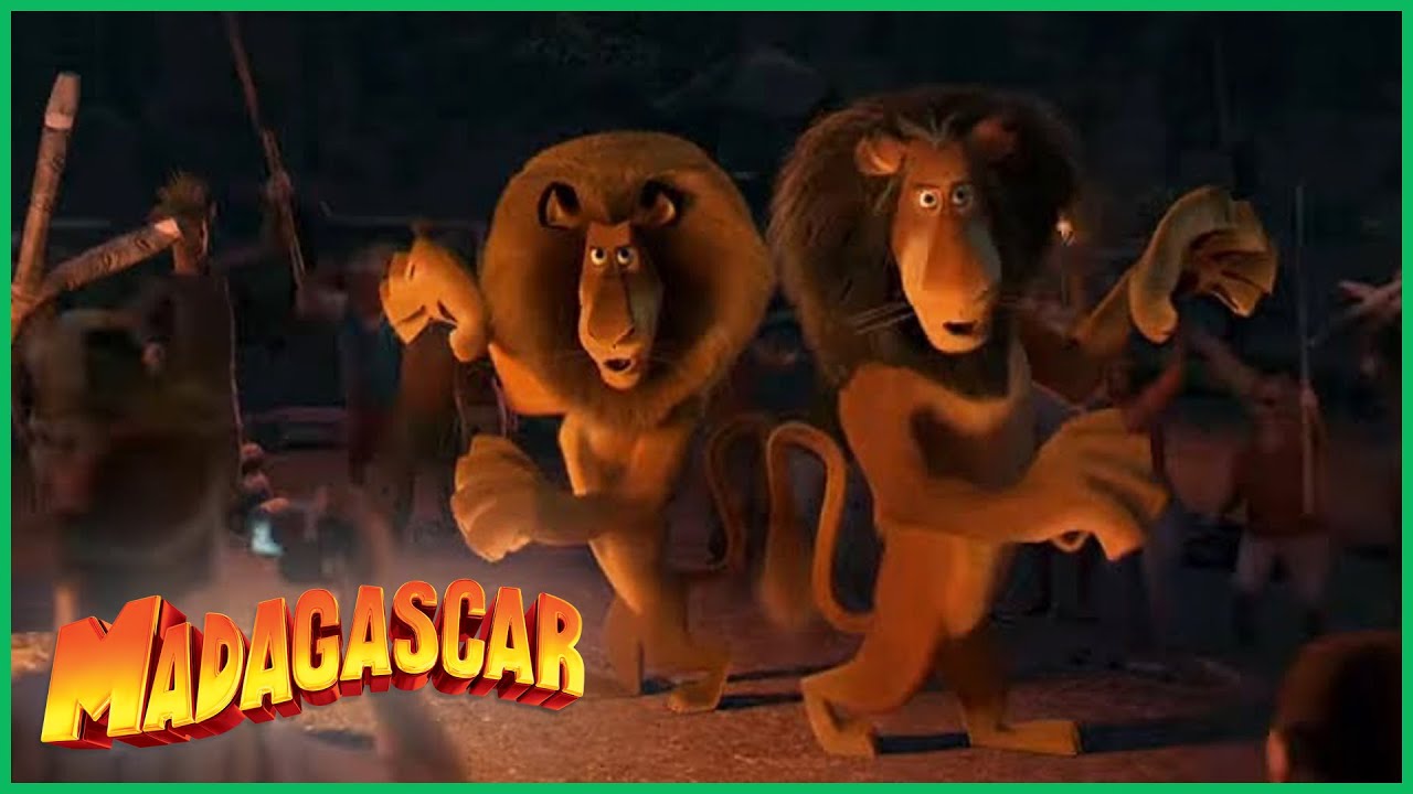 DreamWorks Madagascar | Leões Não Dançam | Madagascar: Escape 2 Africa Filme