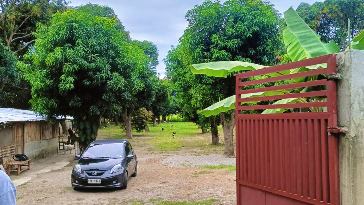 FARM UPDATE #3 NEW FENCE 