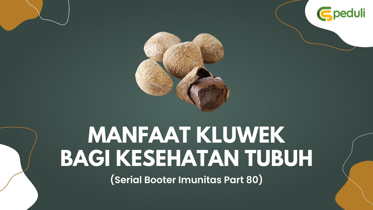 KLUWEK REVISI (Seri Ke 80) - Manfaat Kluwek Bagi Kesehatan Tubuh