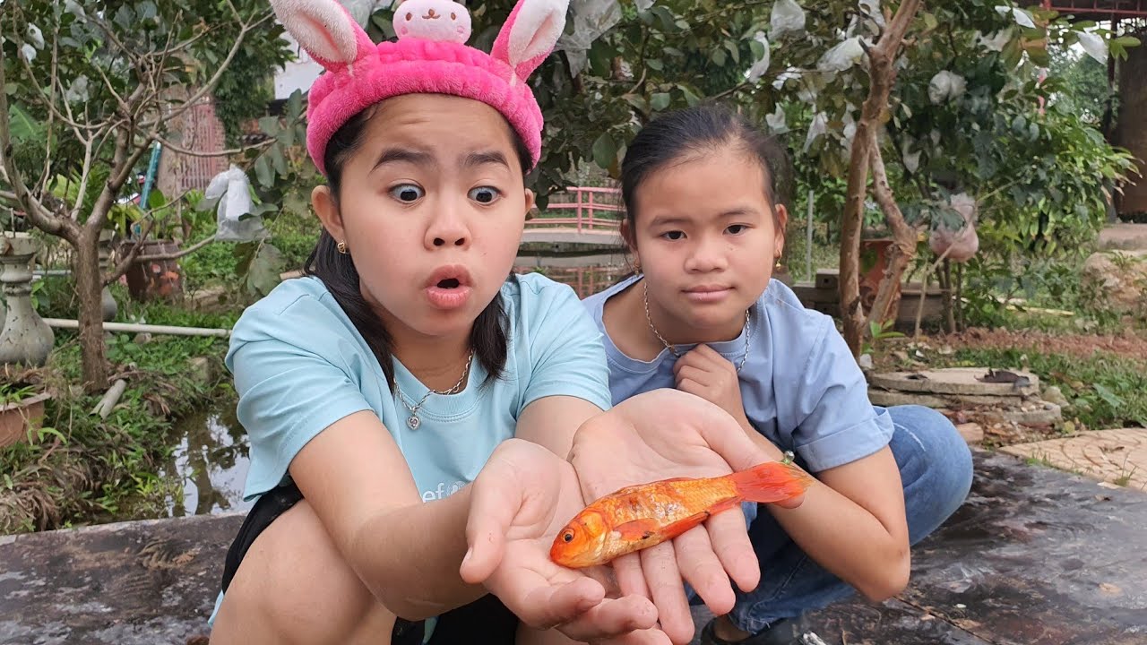 Catching Crab and Red Fish • Bắt Cá Màu Đỏ Về Nuôi 💗 Lộc TiVi