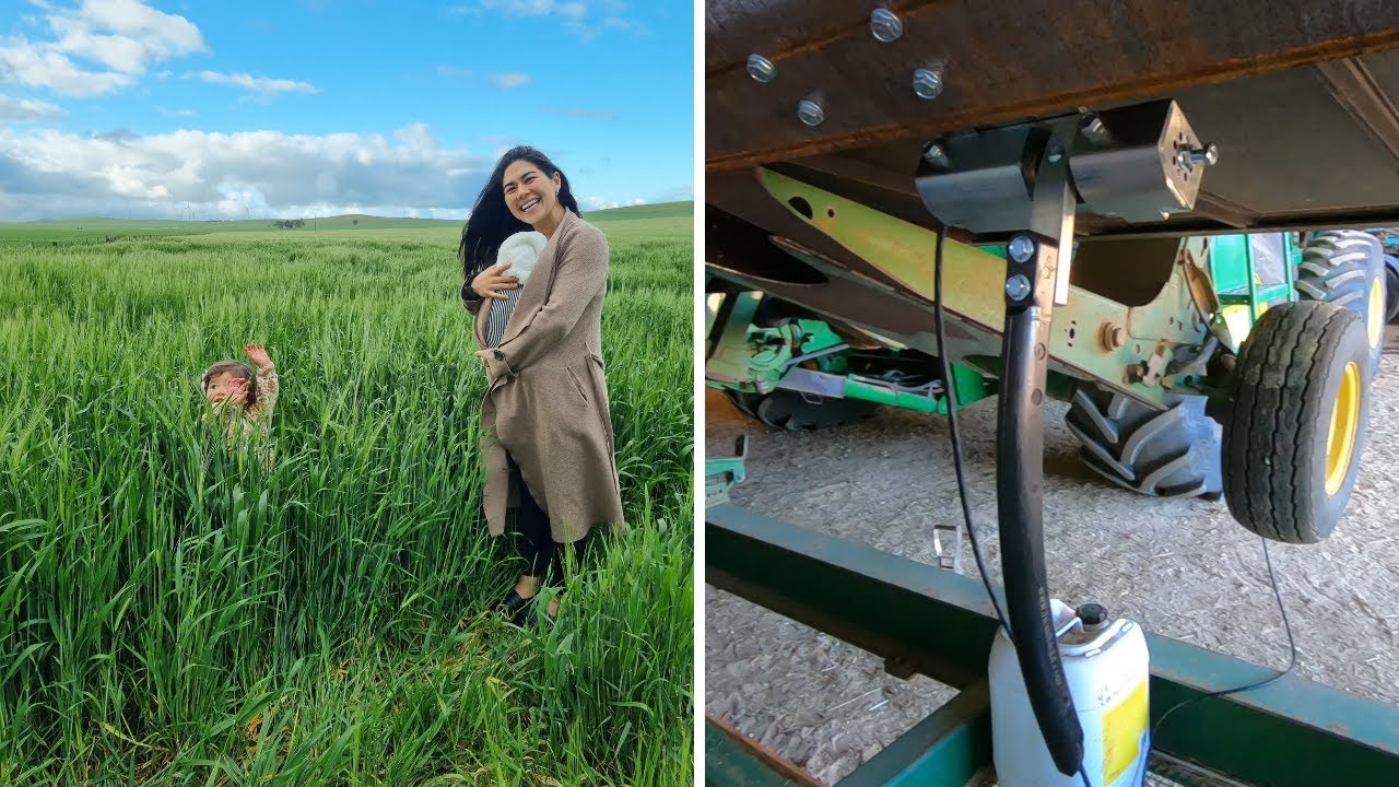 The Newest Member To Lock Valley Farms | Odd Jobs + Installing A Headsight Kit
