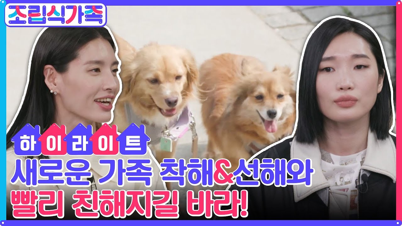 모X립의 새로운 조립식 가족을 소개합니다♥ 착해&선해의 마음을 열기 위한 모니카X립제이의 노력! #highlight #조립식가족 EP.7