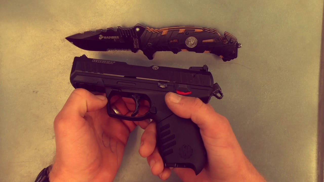 Ruger SR22 Disassembly and Assembly