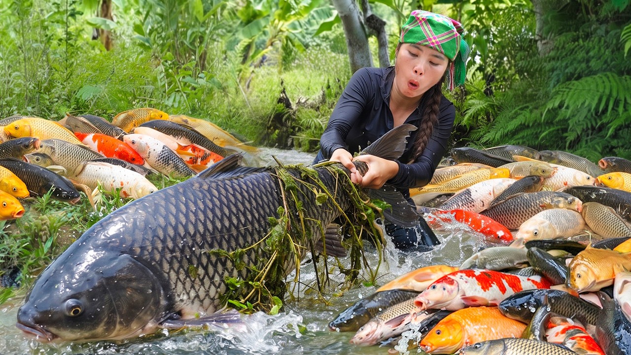 Catching river fish on rainy day to sell at market - Frying crispy fish for dinner with little kids