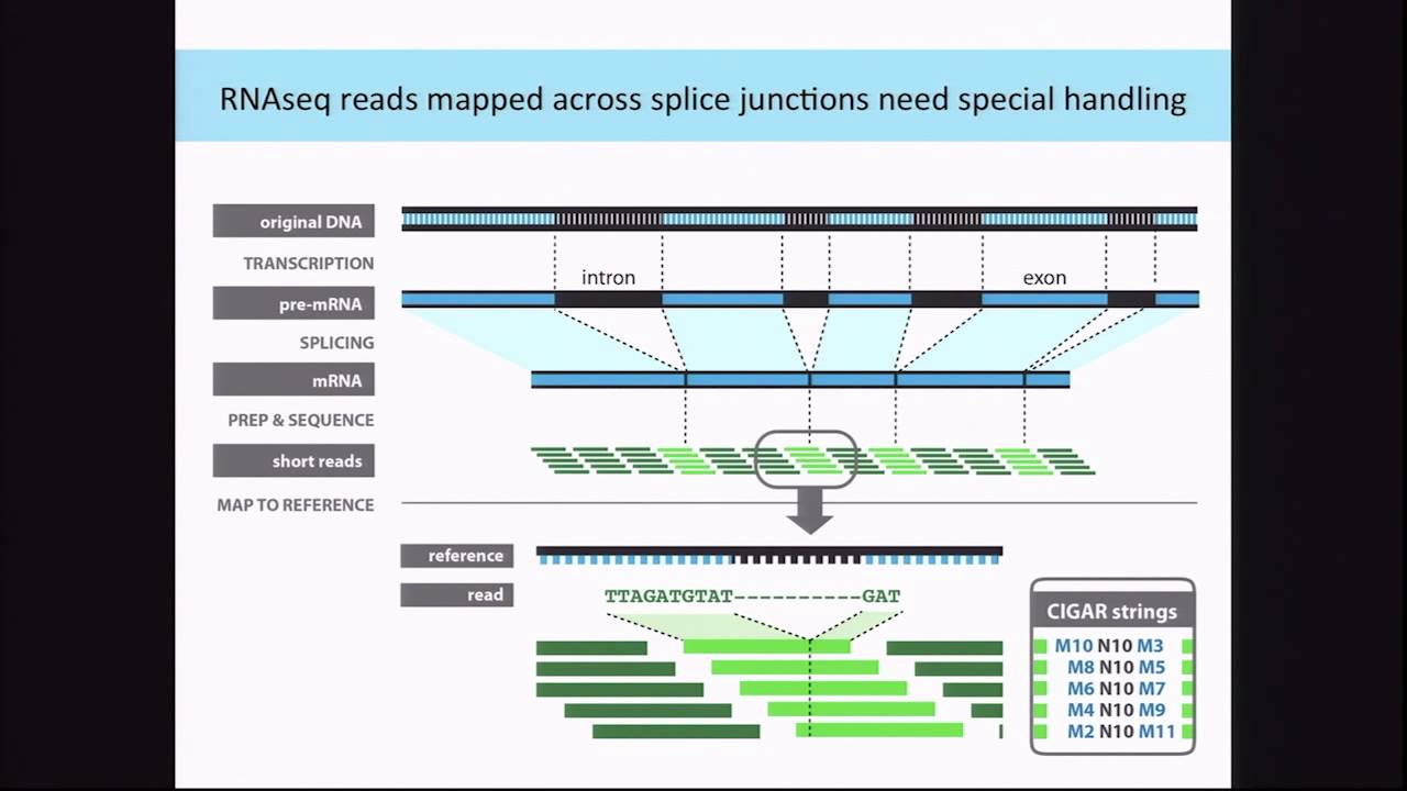BroadE: GATK/Mapping and processing RNAseq